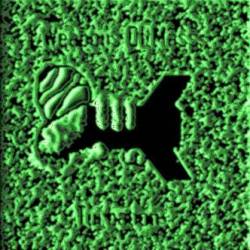 G-Clad : Profane & Profane Accessories Part II - Weapons of Mass Turbation